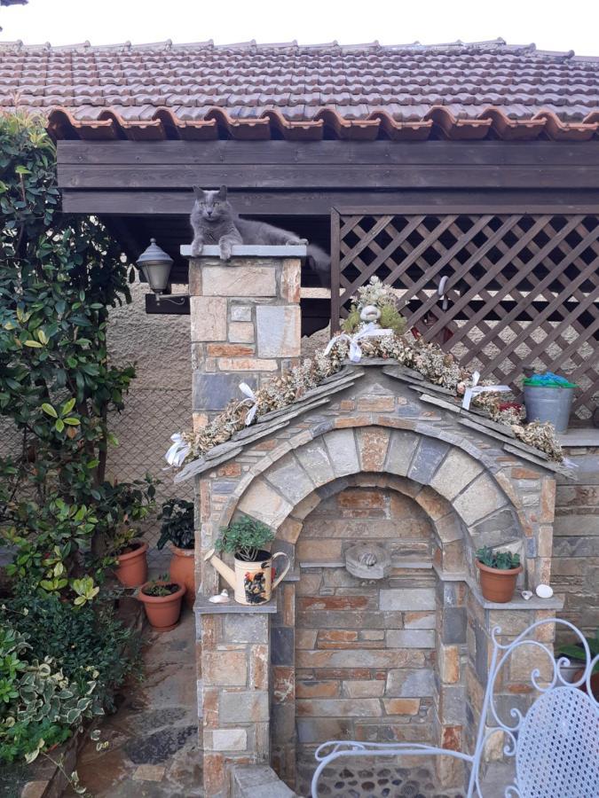 Traditional Maisonette In Pelion Volos Bagian luar foto